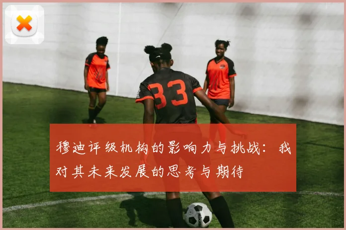 穆迪评级机构的影响力与挑战：我对其未来发展的思考与期待