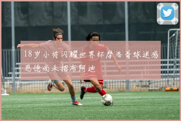 18岁小将闪耀世界杯摩洛哥球迷感恩德尚未招布阿迪